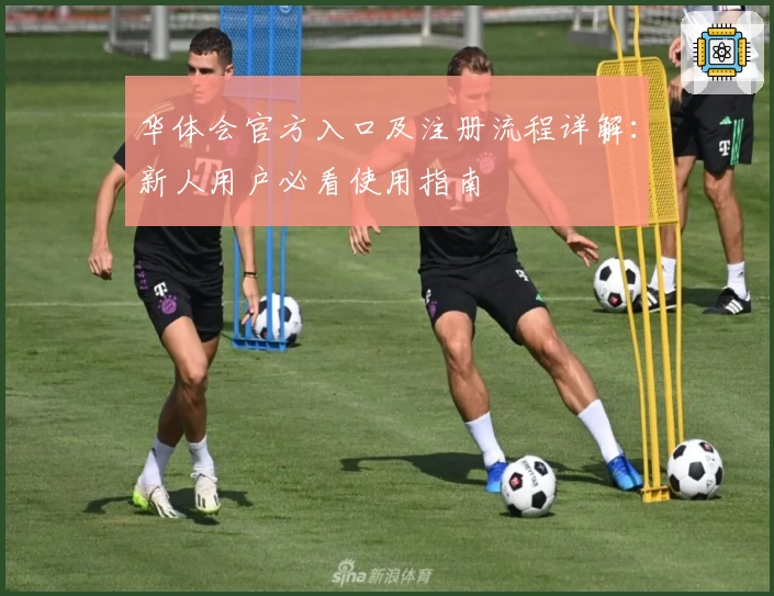 华体会官方入口及注册流程详解：新人用户必看使用指南